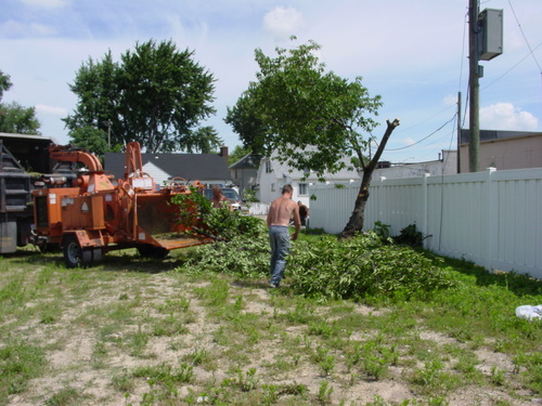 ./Gallery/2011 Bennet Lot Tree Removal/DSC06460.JPG